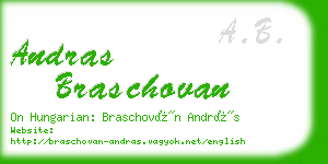 andras braschovan business card